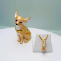 Starlight Chihuahua Trinket Box & Necklace