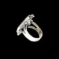 Custom Ammonite Shell Ring in 14k Rose Gold & Sterling Silver - Image 6